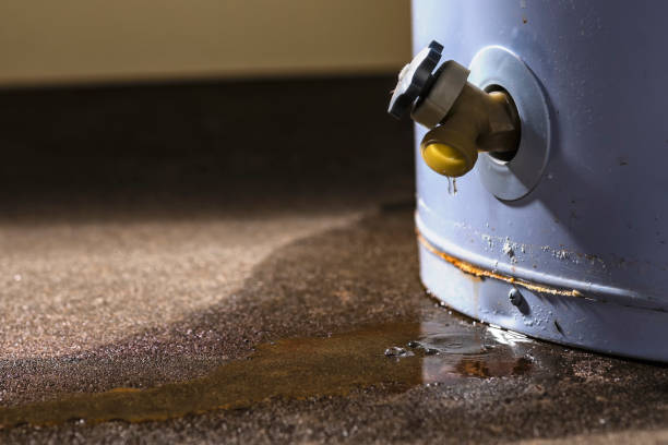 Best Water damage restoration company  in Owings Mills, MD
