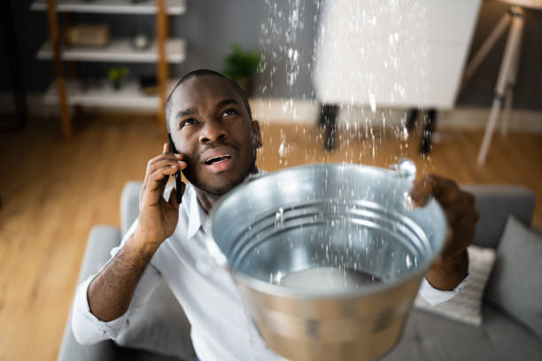 Best 24/7 water damage repair  in Owings Mills, MD