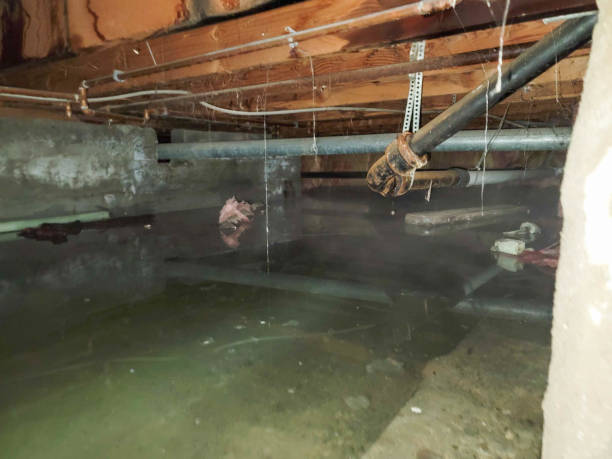 Carpet water damage restoration in Owings Mills, MD