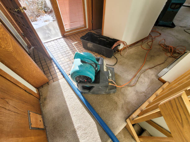 Best Water damage cleanup near me  in Owings Mills, MD