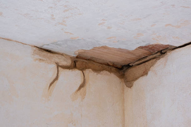 Best Basement water damage restoration  in Owings Mills, MD