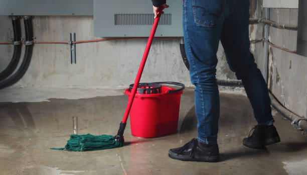 Best Flood restoration services  in Owings Mills, MD