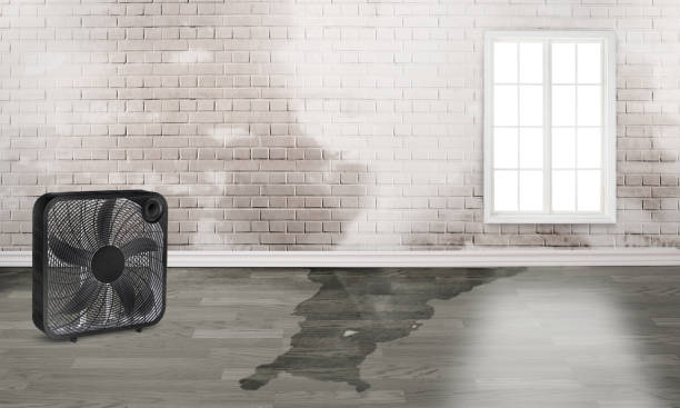 Best 24-hour water damage restoration  in Owings Mills, MD
