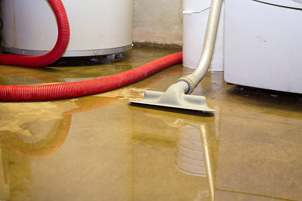Best Ceiling water damage repair  in Owings Mills, MD
