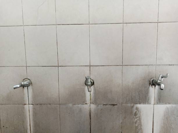Best Water damage contractors near me  in Owings Mills, MD