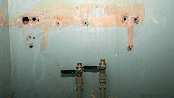 Professional Water damage restoration in Owings Mills, MD