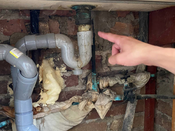 Best Flood damage cleanup  in Owings Mills, MD