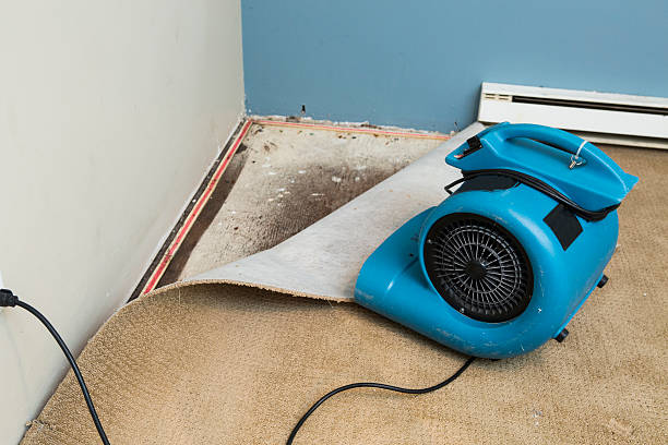  Owings Mills, MD Water damage restoration Pros
